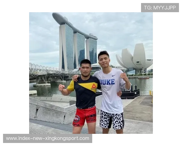 UFC巅峰之战：一记转身后踢神技，瞬间终结对手的精彩瞬间